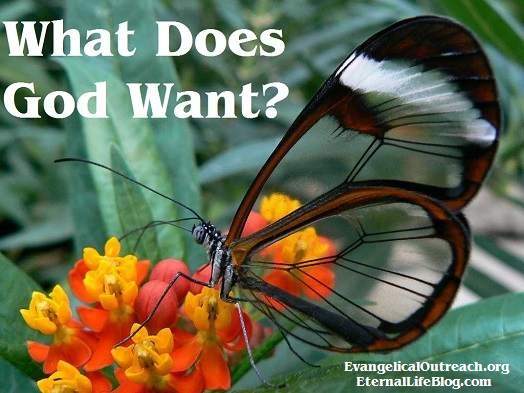 What Does God Want From Me Christian Life